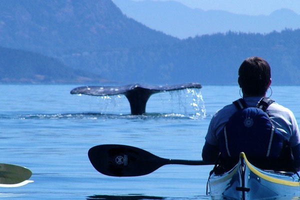 kayaking